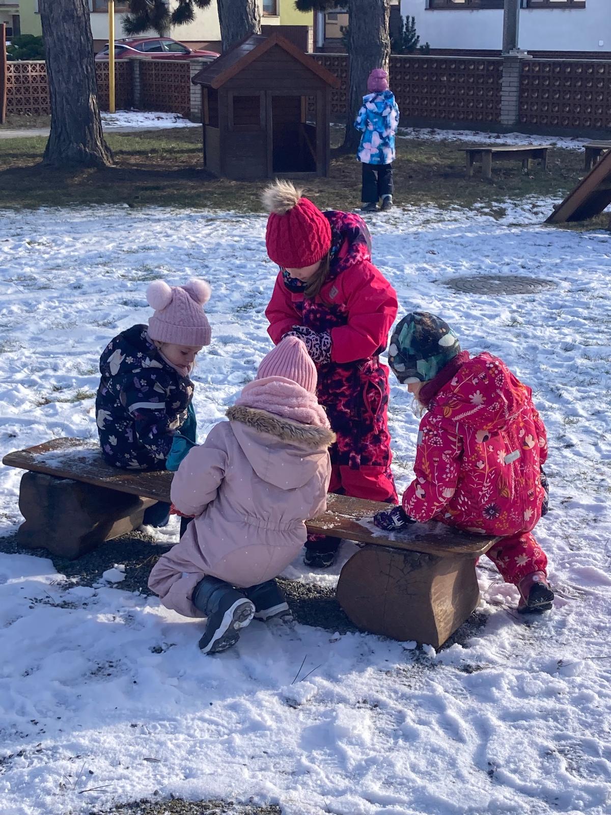 WhatsApp Image 2026-02-04 at 23.00.58