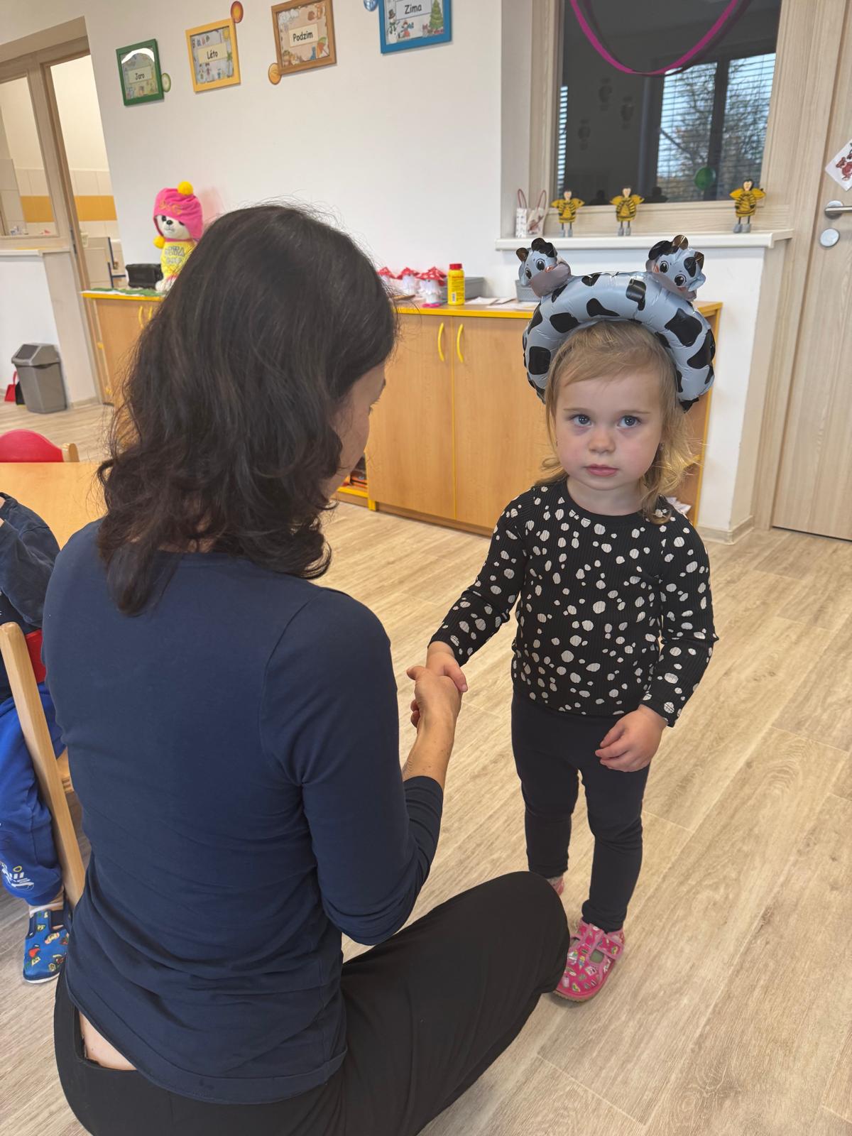 Obrázek WhatsApp, 2024-11-14 v 08.01.09_81996830