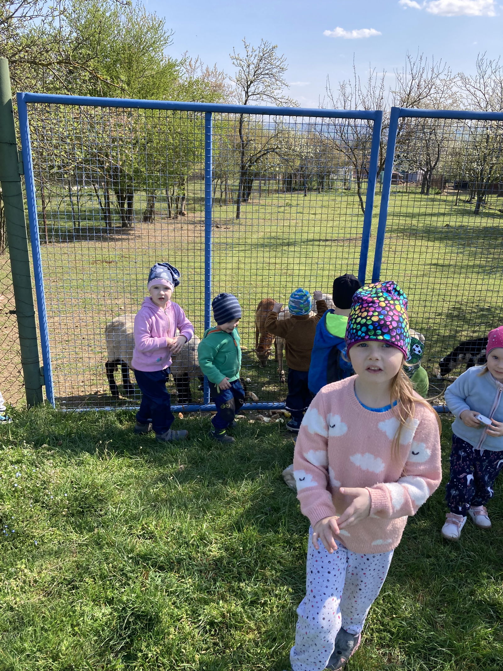 77CCB46E-5069-47B2-87B8-7C498F5F5305