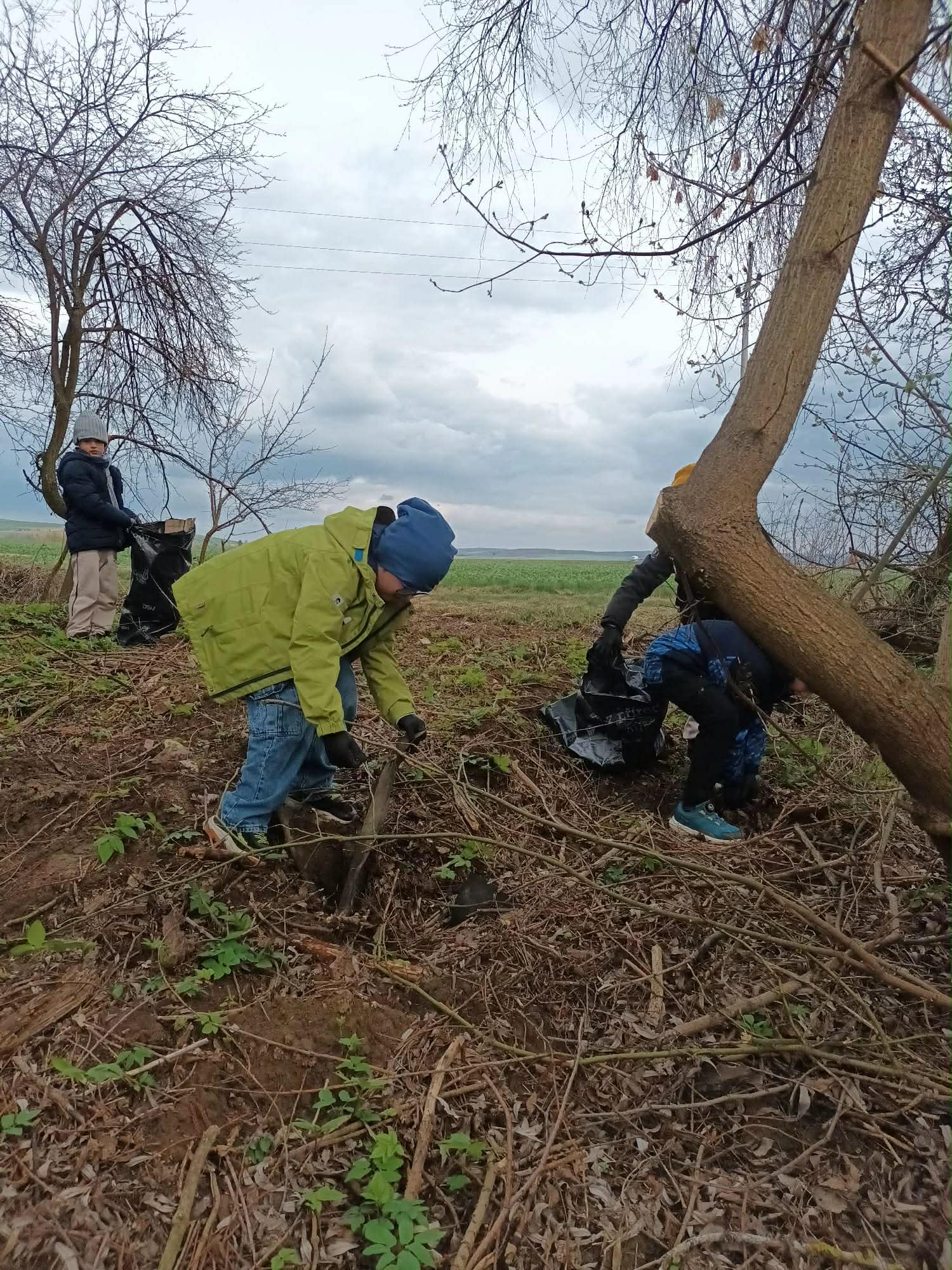 438474b1-7043-4920-a619-e3df133c0646