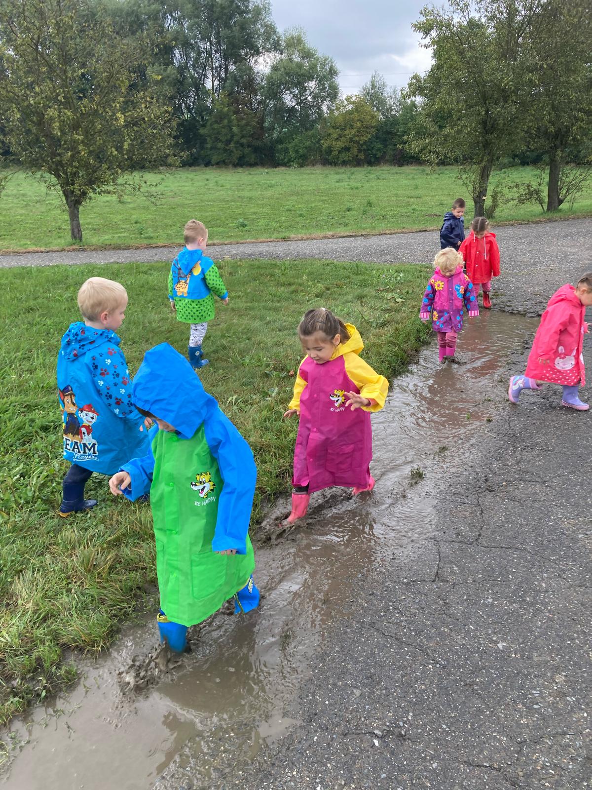 Obrázek WhatsApp, 2024-11-14 v 08.14.24_a115fe0d