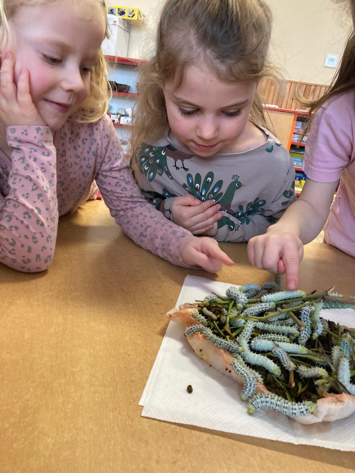 WhatsApp Image 2026-03-01 at 19.58.41 (1)