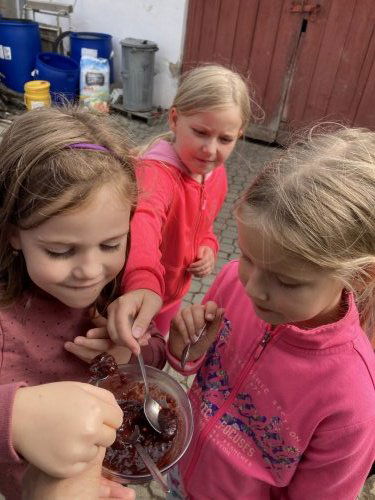 906ea1b84fd11605d999470b759ecea6