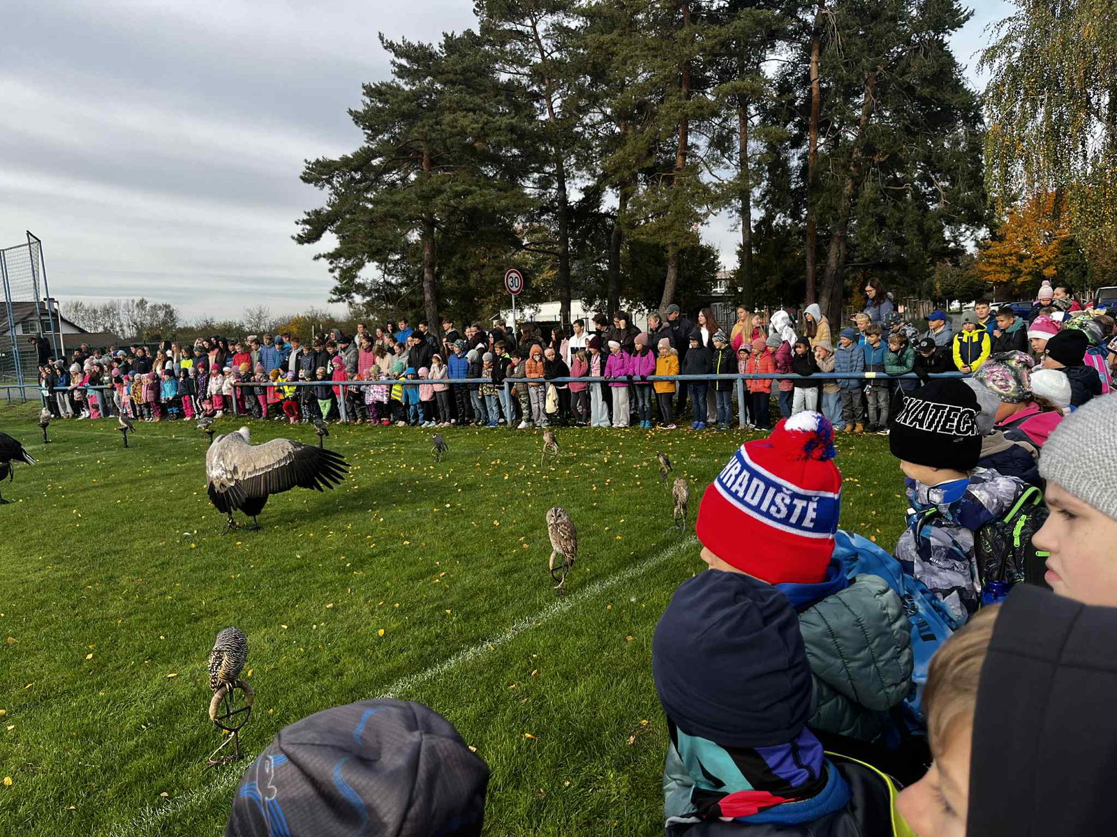 59c9ce6d-9ad2-4b69-8334-8d0c93fd766f