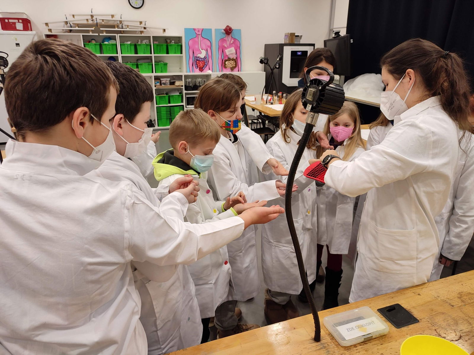 990efccf0d39b356096fdd0fd9387780