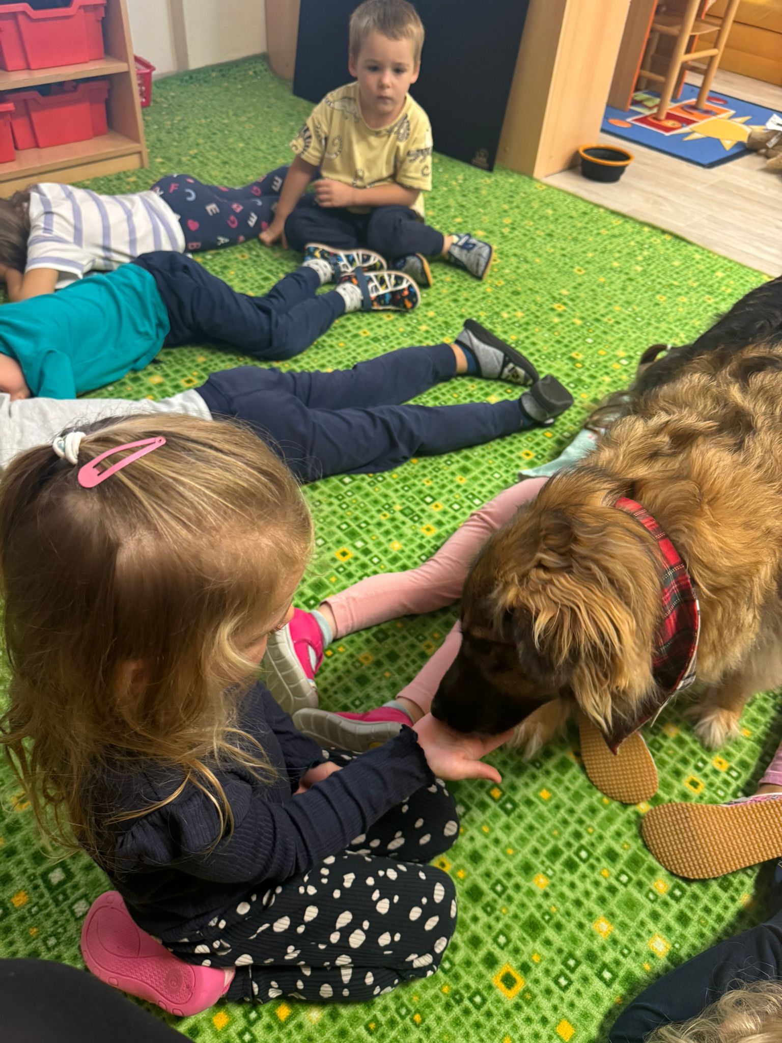 WhatsApp Image 2025-09-16 at 10.52.17 (1)