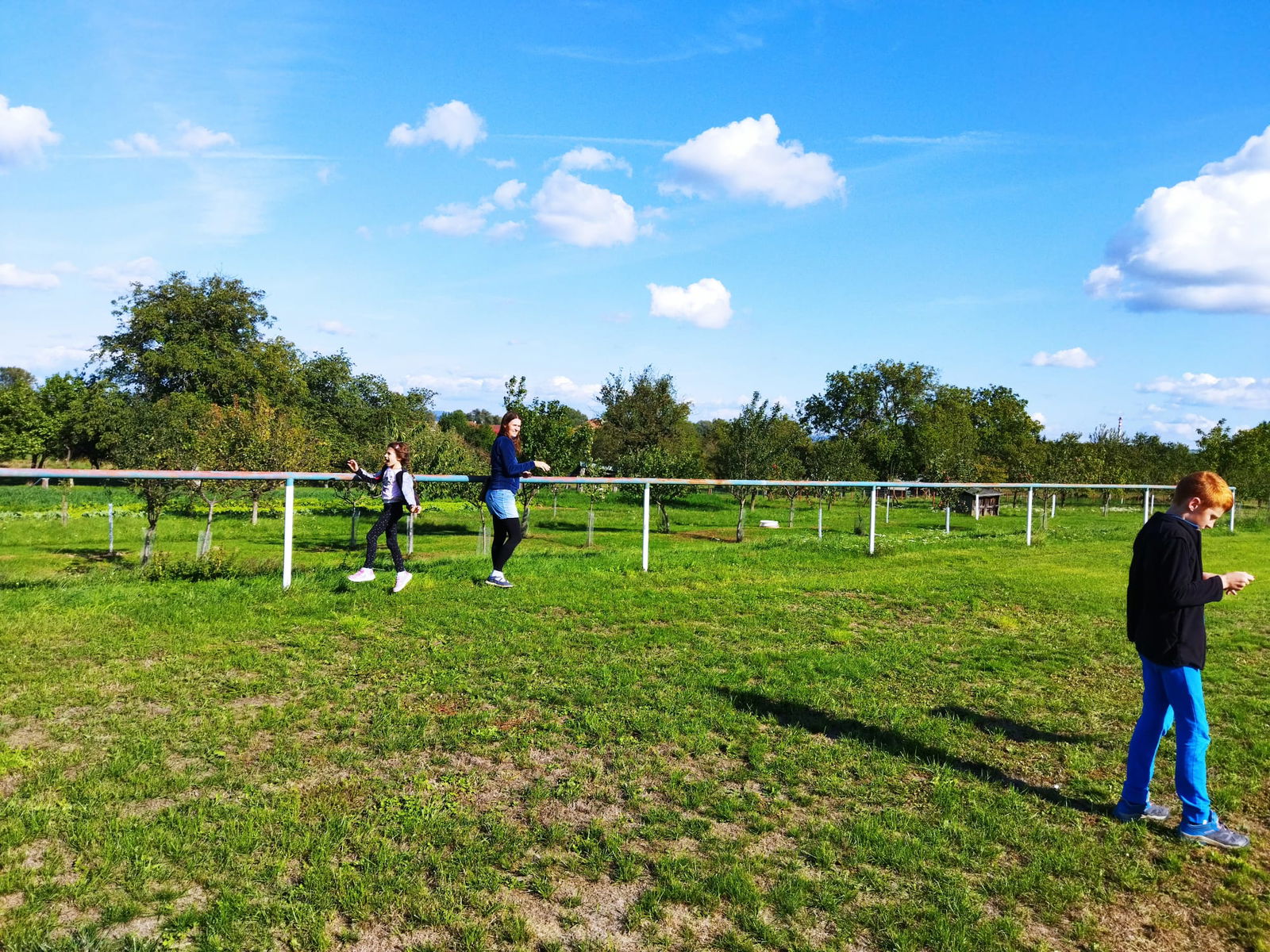 33e12803-708d-4a88-a049-250a88ffa529