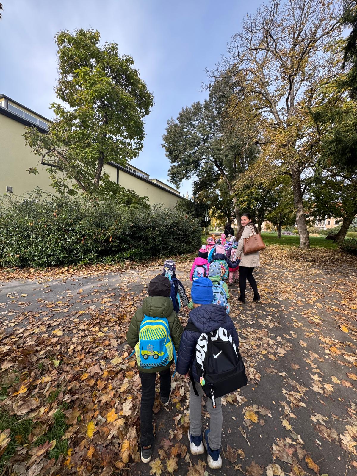 Obrázek WhatsApp, 2025-10-15 v 08.45.28_1734dddb