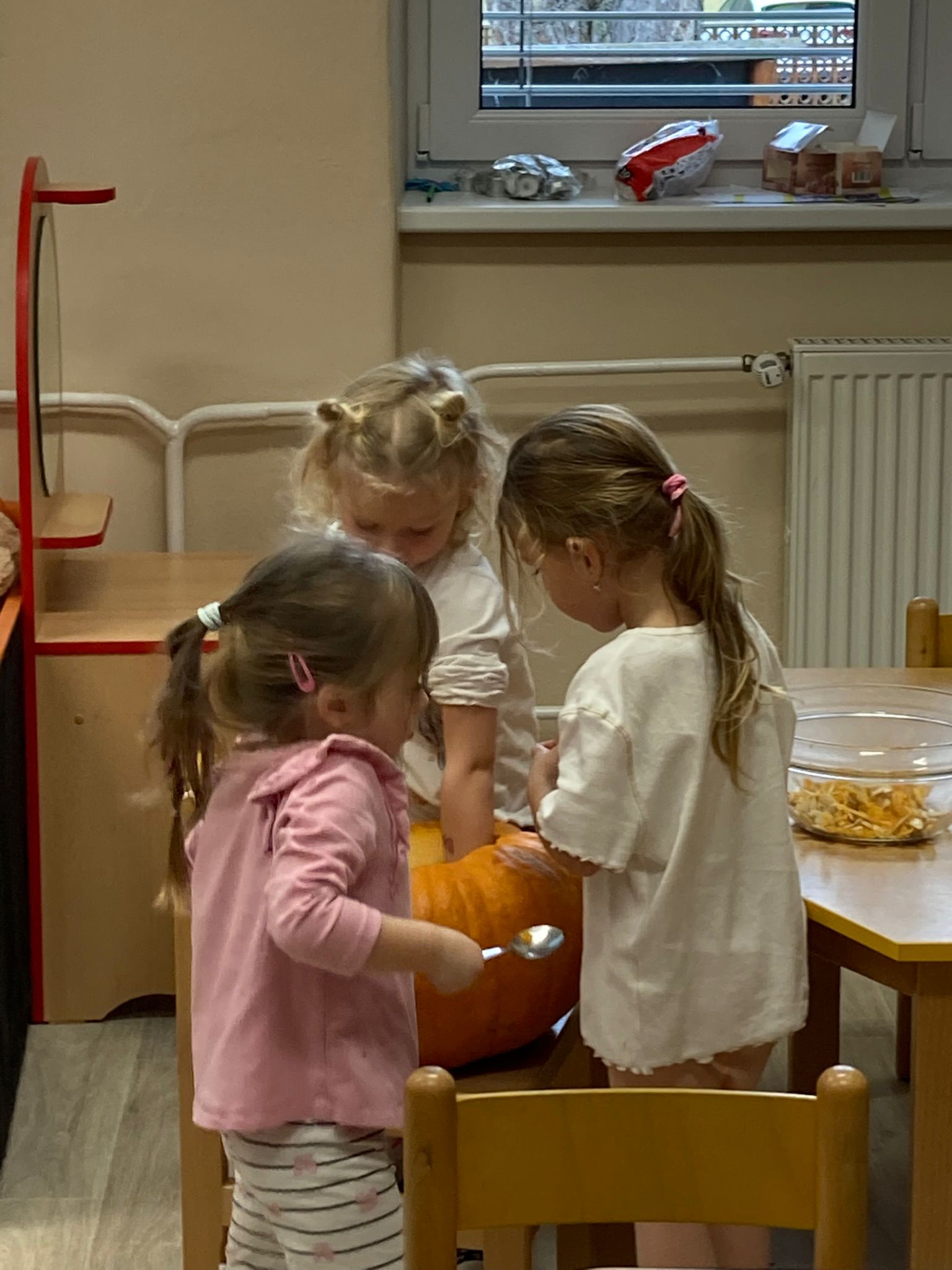 Obrázek WhatsApp, 2025-11-24 v 17.06.31_05d76b20