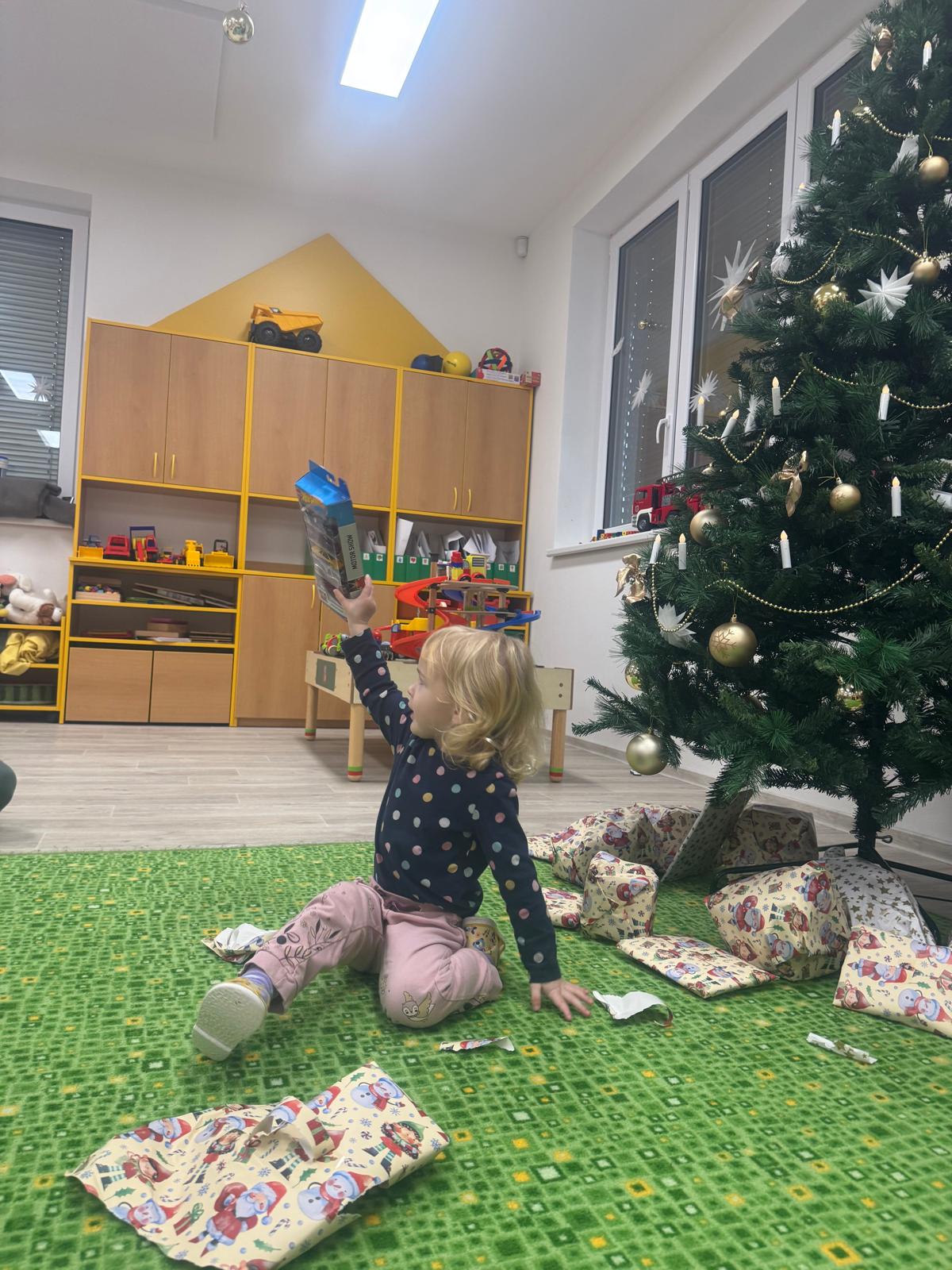 Obrázek WhatsApp, 2024-12-18 v 12.01.02_c9f40514