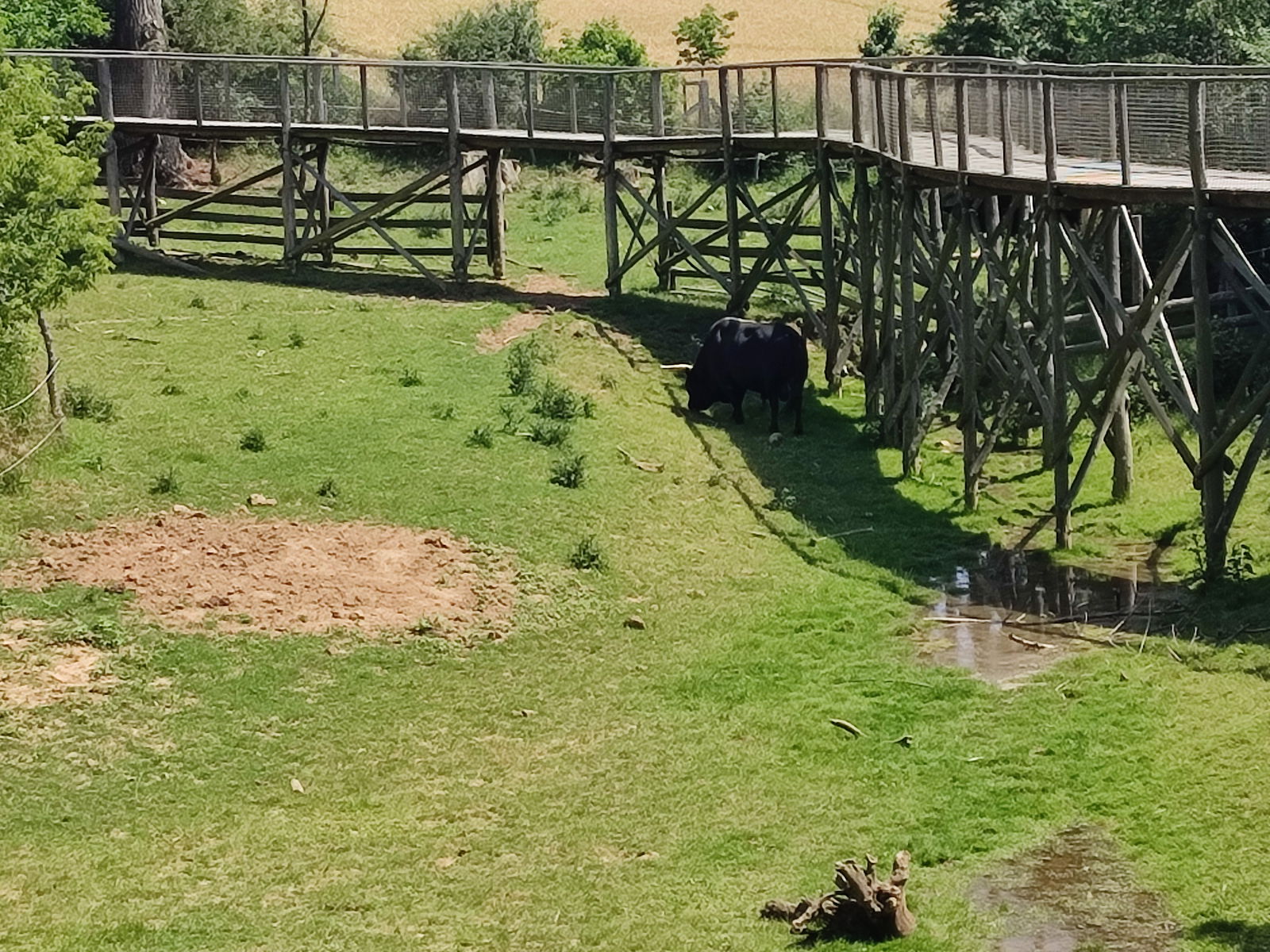 IMG_20240619_140505_1