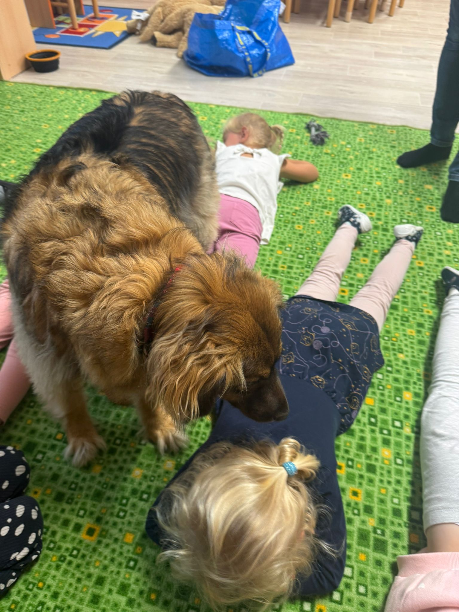 WhatsApp Image 2025-09-16 at 10.52.17