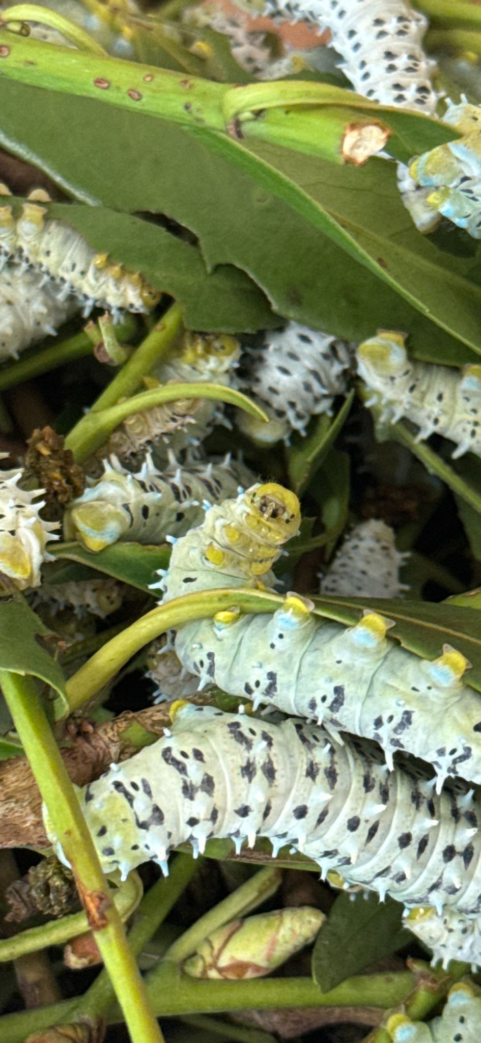 WhatsApp Image 2026-03-01 at 21.24.55