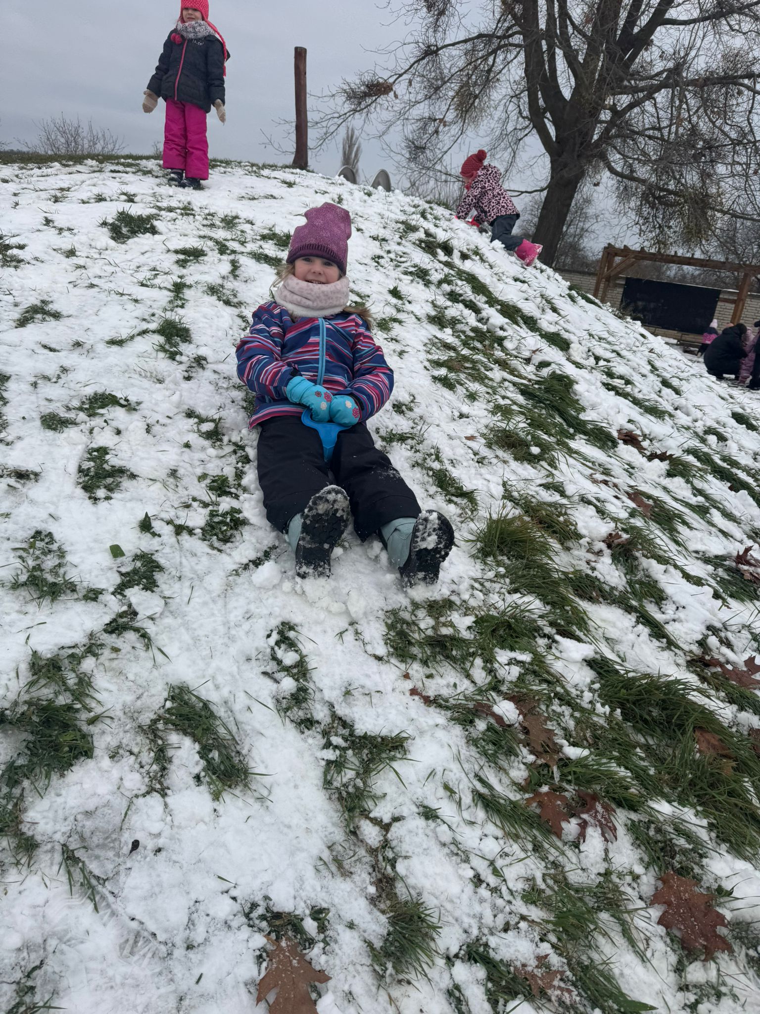 Obrázek WhatsApp, 2025-11-24 v 12.08.39_6ec57d0f