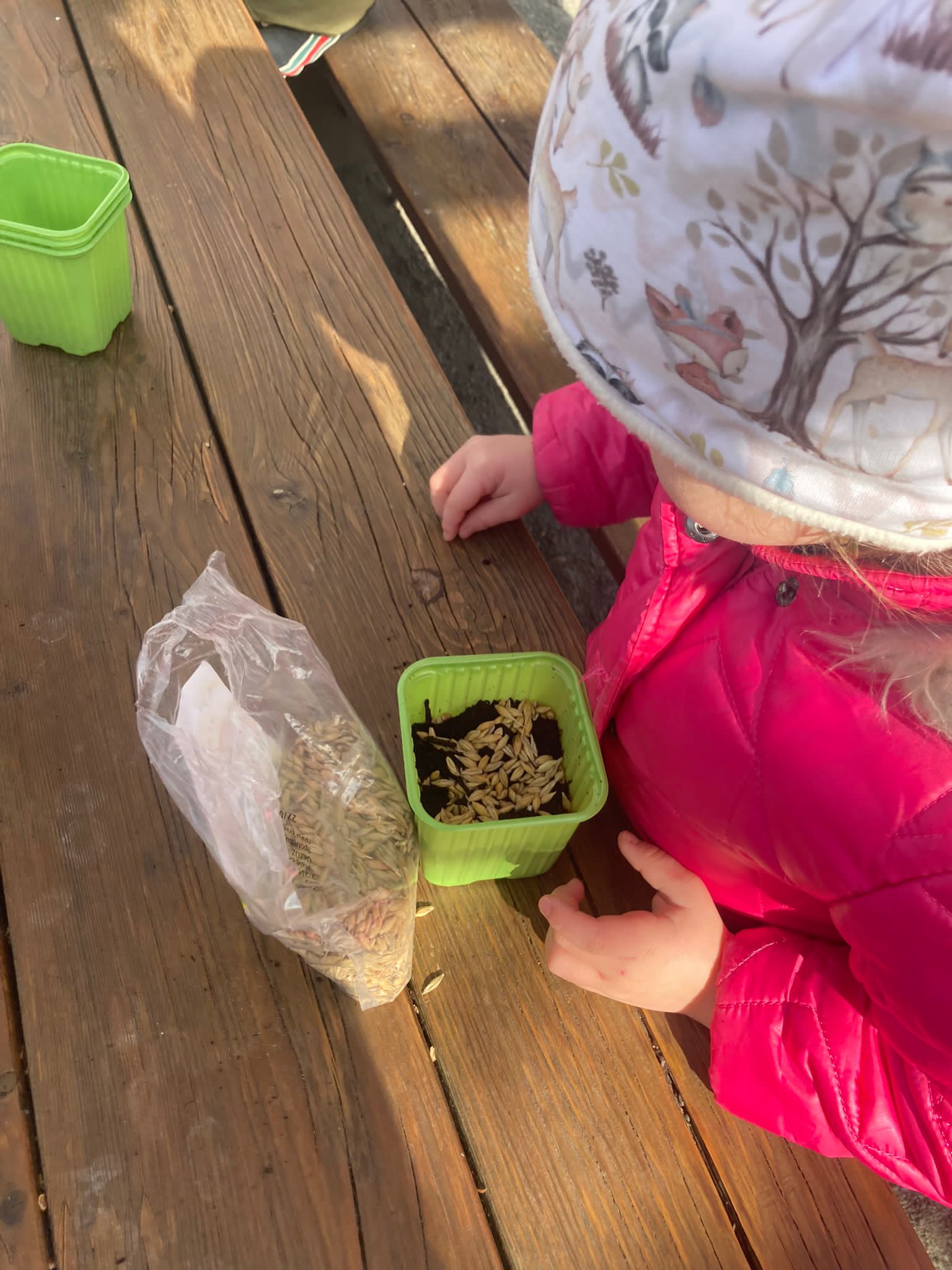 PHOTO-2023-03-18-08-35-55 (1)