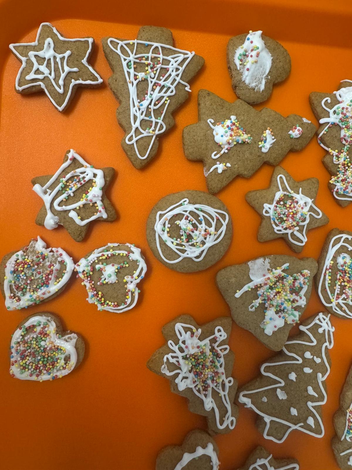 Obrázek WhatsApp, 2024-12-18 v 11.57.50_08faaa07