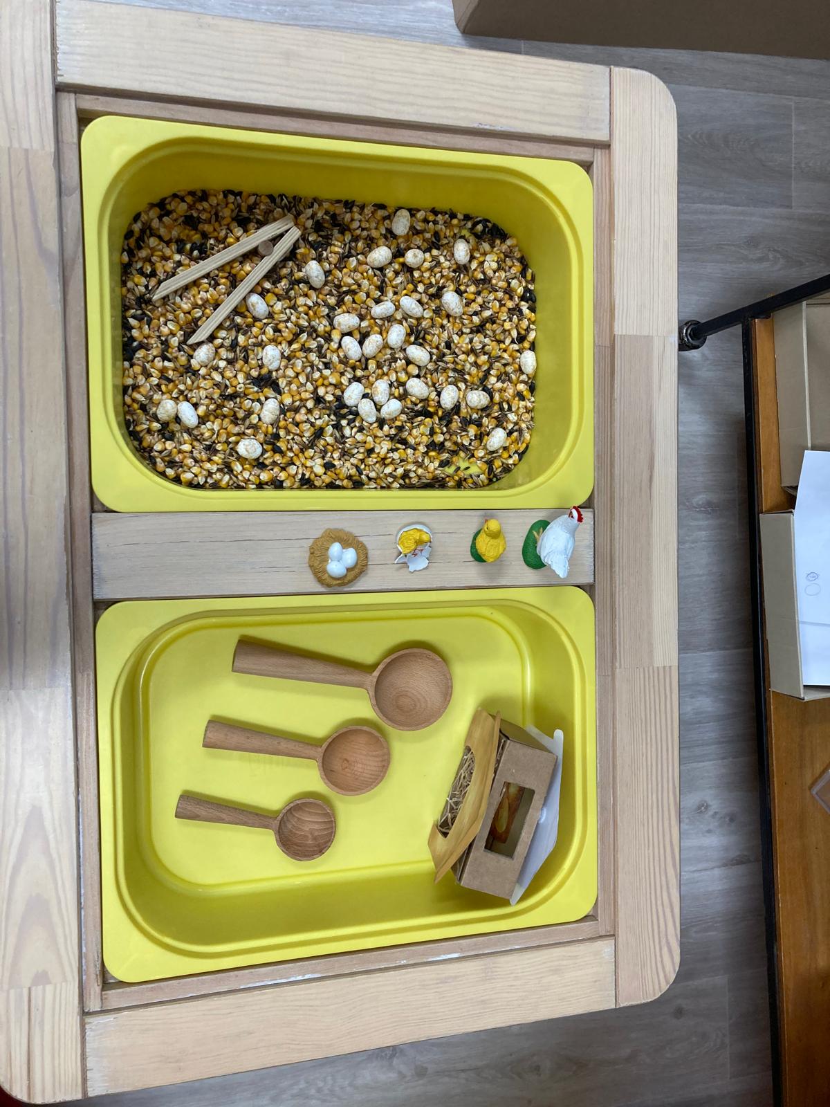 WhatsApp Image 2026-04-15 at 20.27.29 (4)