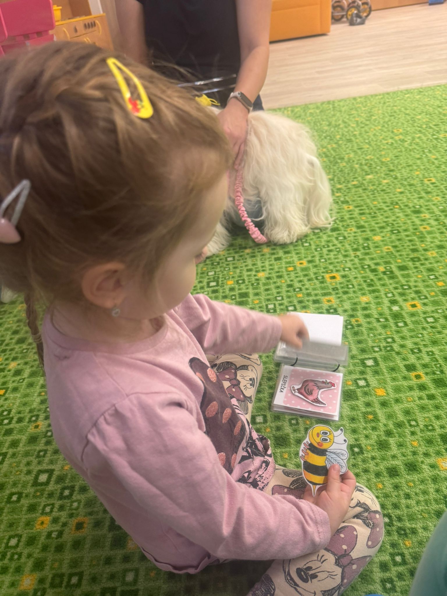 Obrázek WhatsApp, 2024-12-04 v 13.20.32_d6c77d23