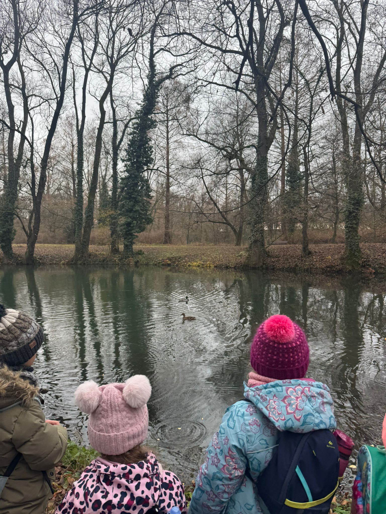 Obrázek WhatsApp, 2025-12-02 v 05.43.41_0a308a1a