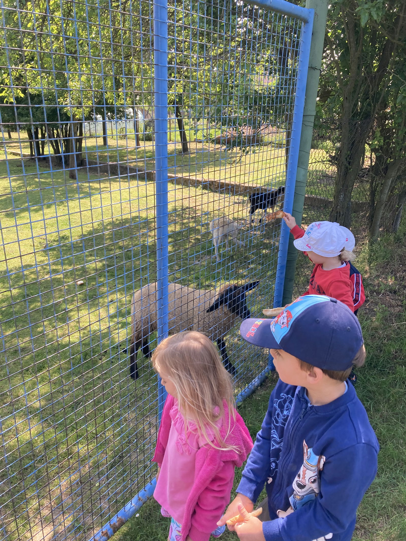 D94C5F11-6749-4D7F-921A-FC081B30E7E7