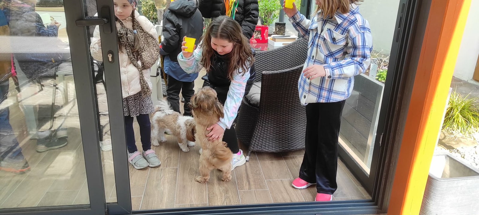 3718a94a-9835-4284-9021-88294a051e73