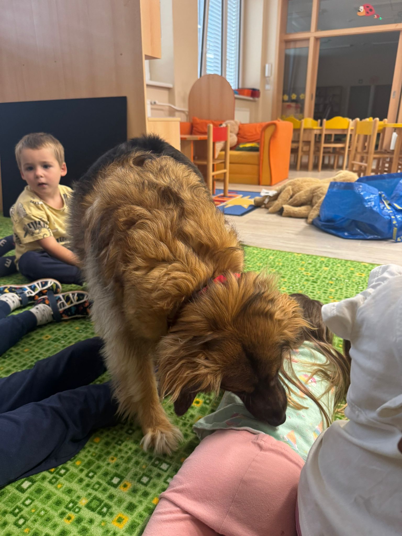 WhatsApp Image 2025-09-16 at 10.52.17 (3)