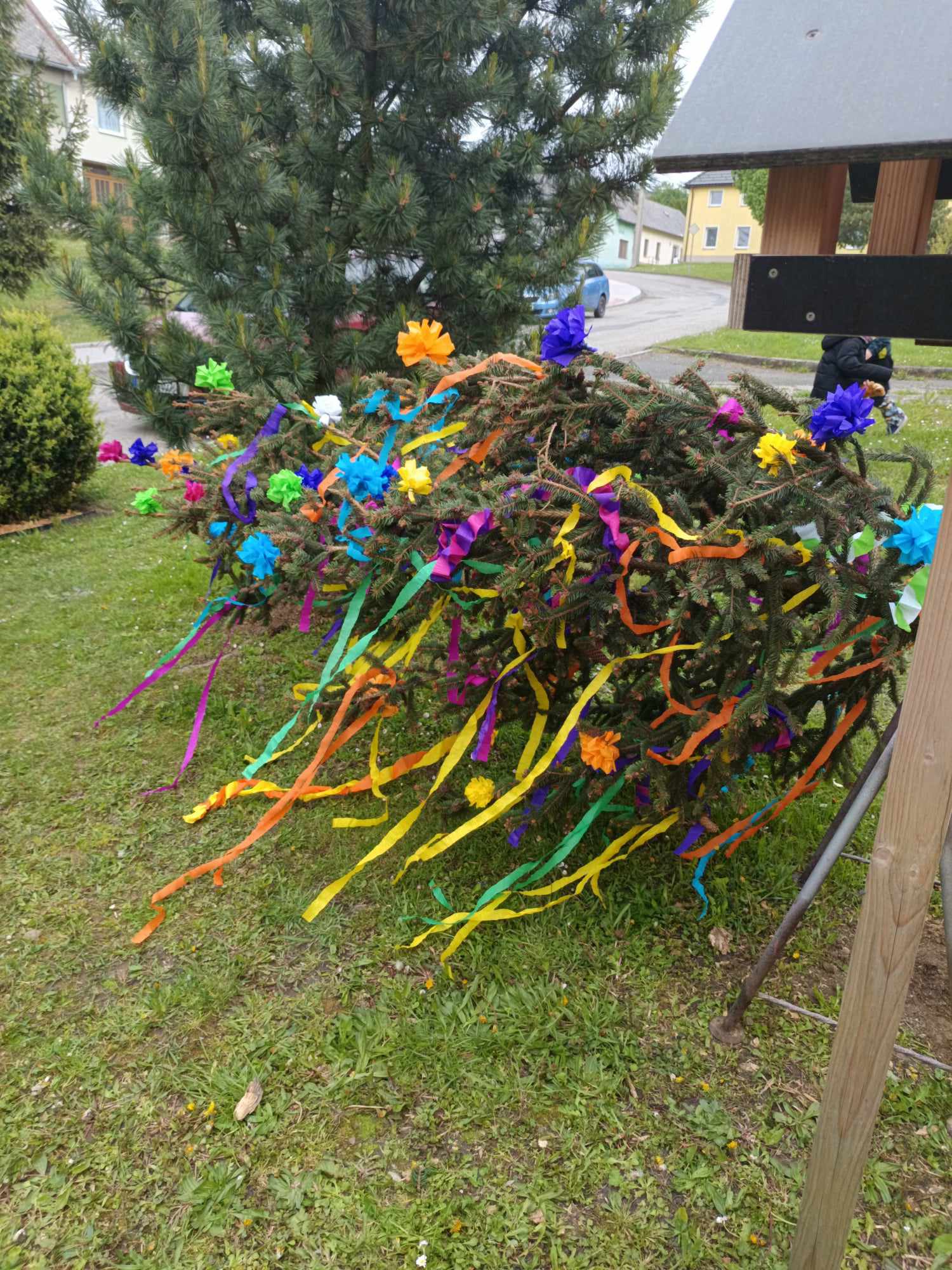 438112378_781115933789624_1236253525019127766_n