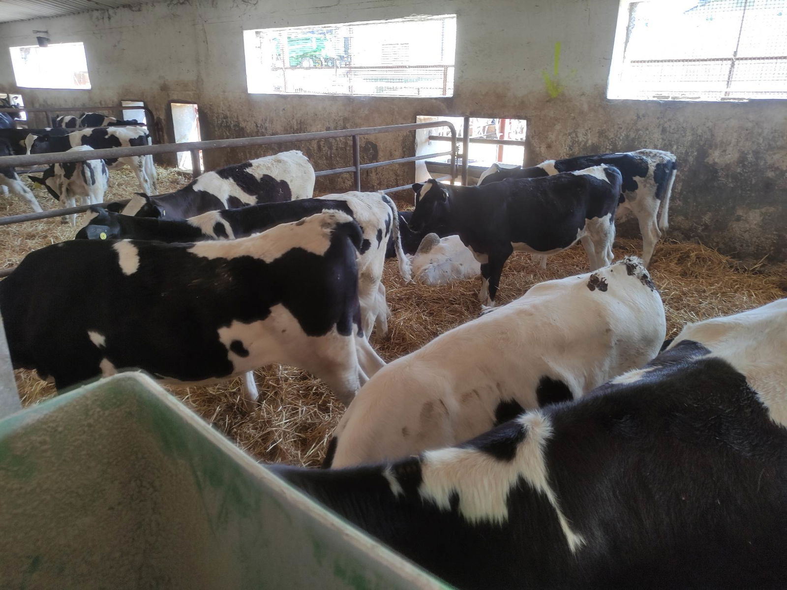 354793565_1304048190468131_6895347558870931024_n