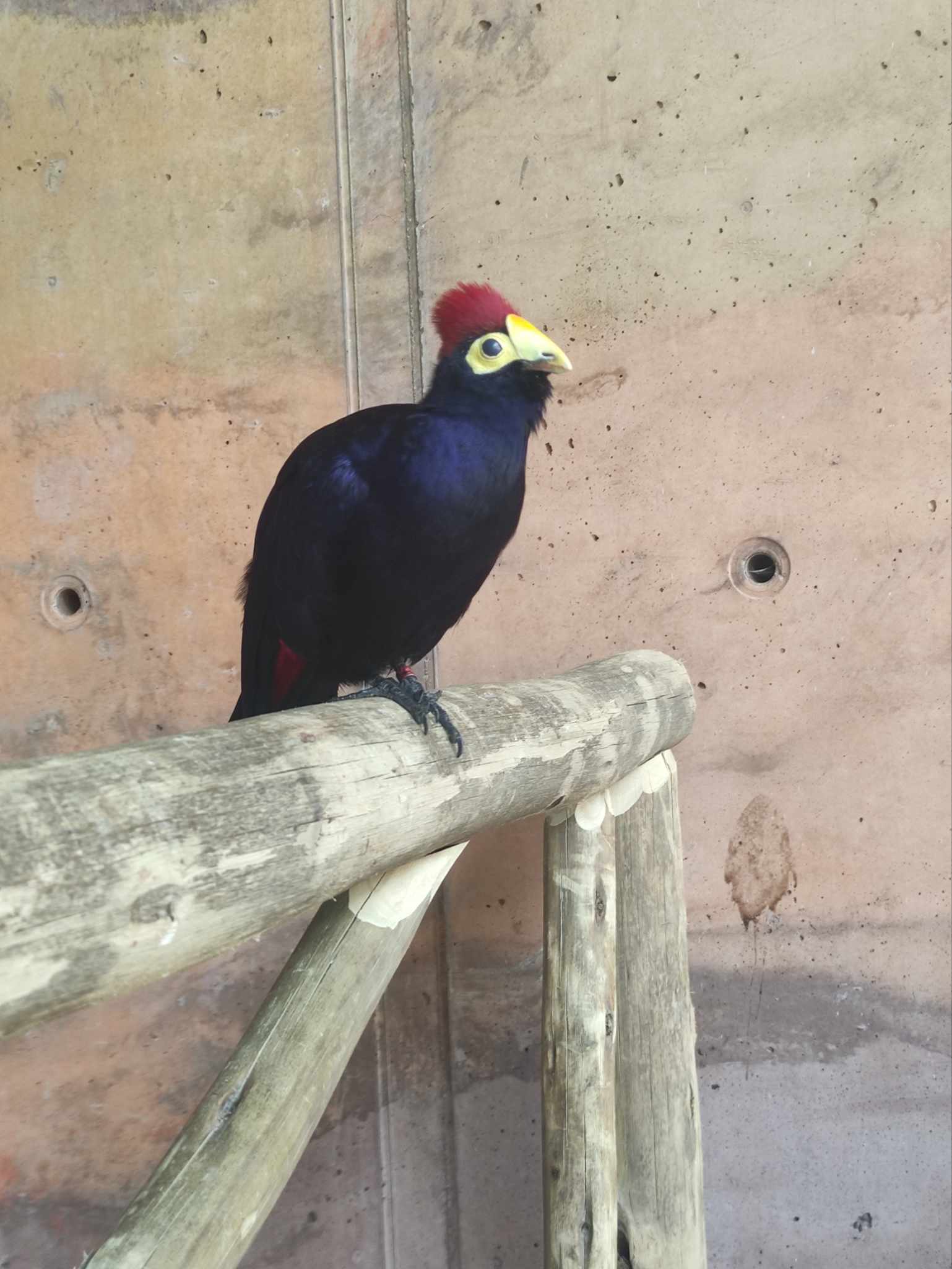 378239113_159315463891881_7190751151441460926_n