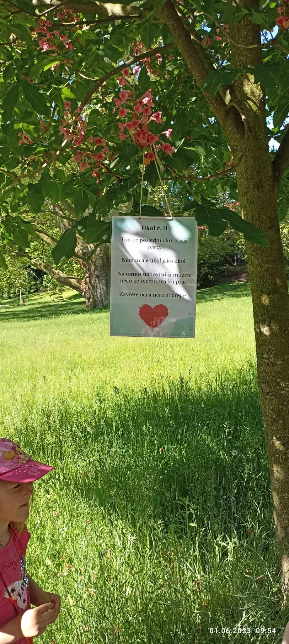 353770923_1054543585951279_3042511834700976731_n