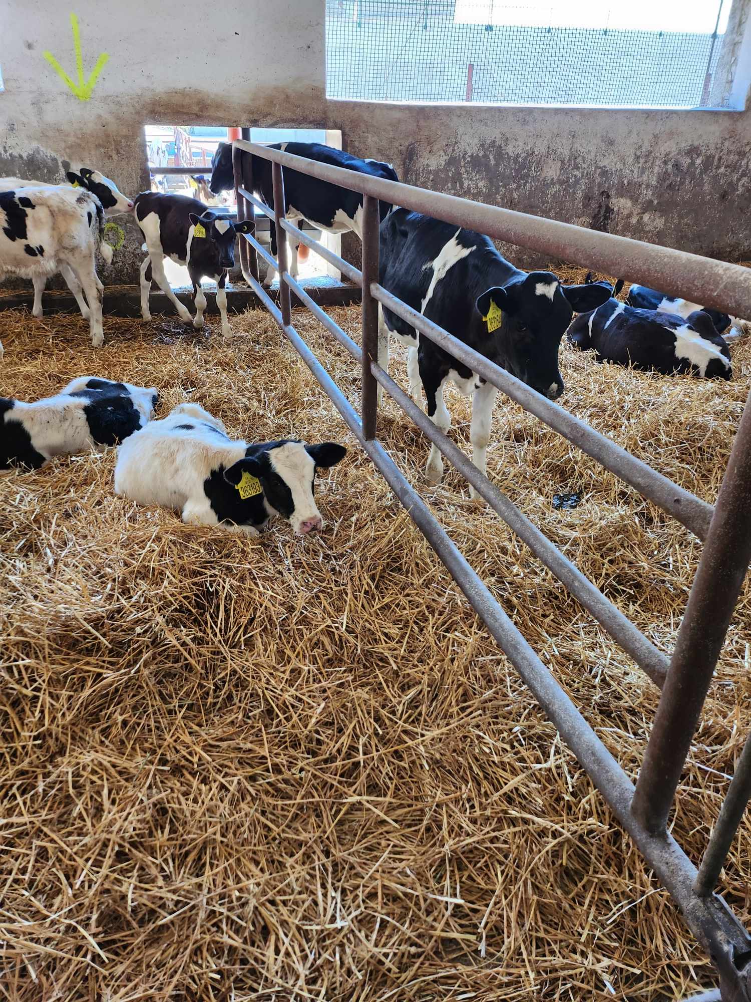 353895427_1004193131028375_9078166846379166284_n