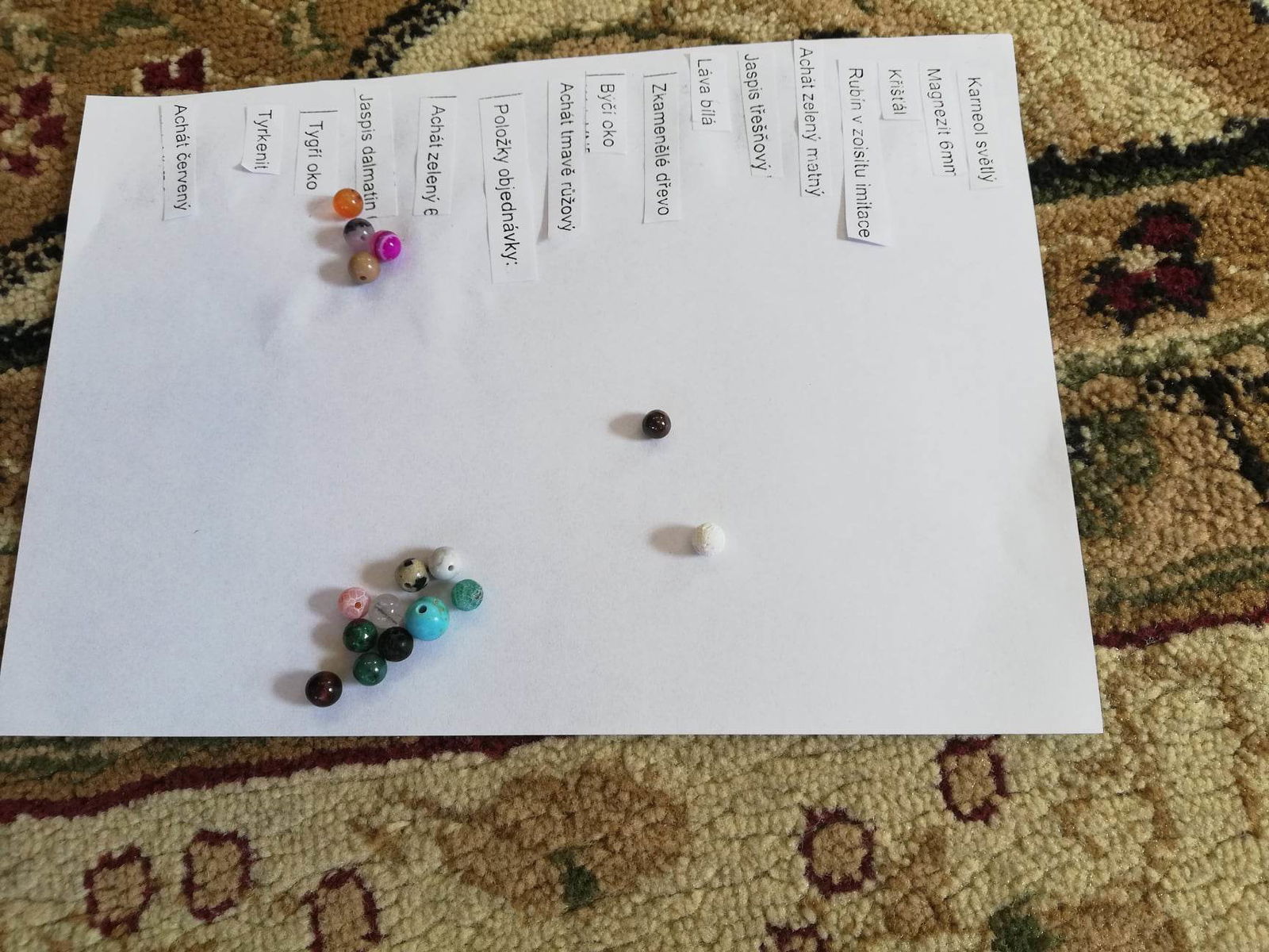 335536870_915994702875760_3725890272671479342_n