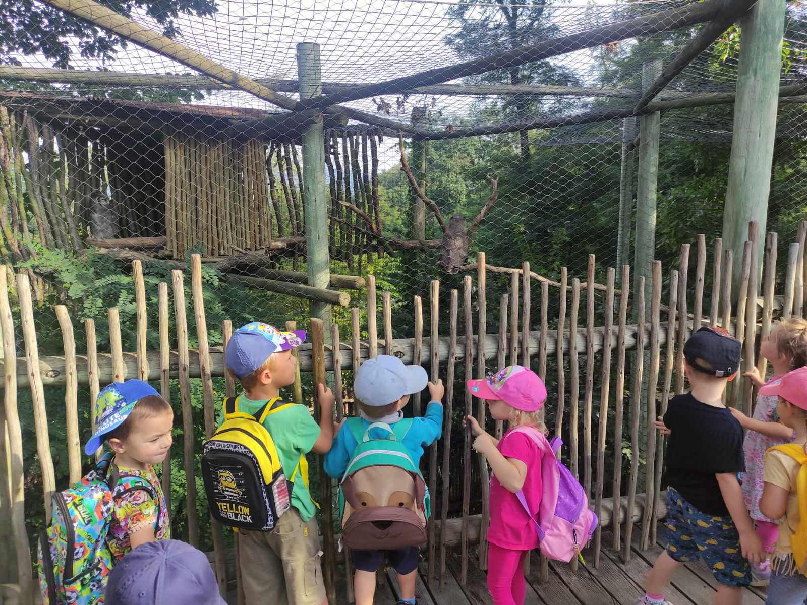 377819884_190384767400656_3849333701977171223_n