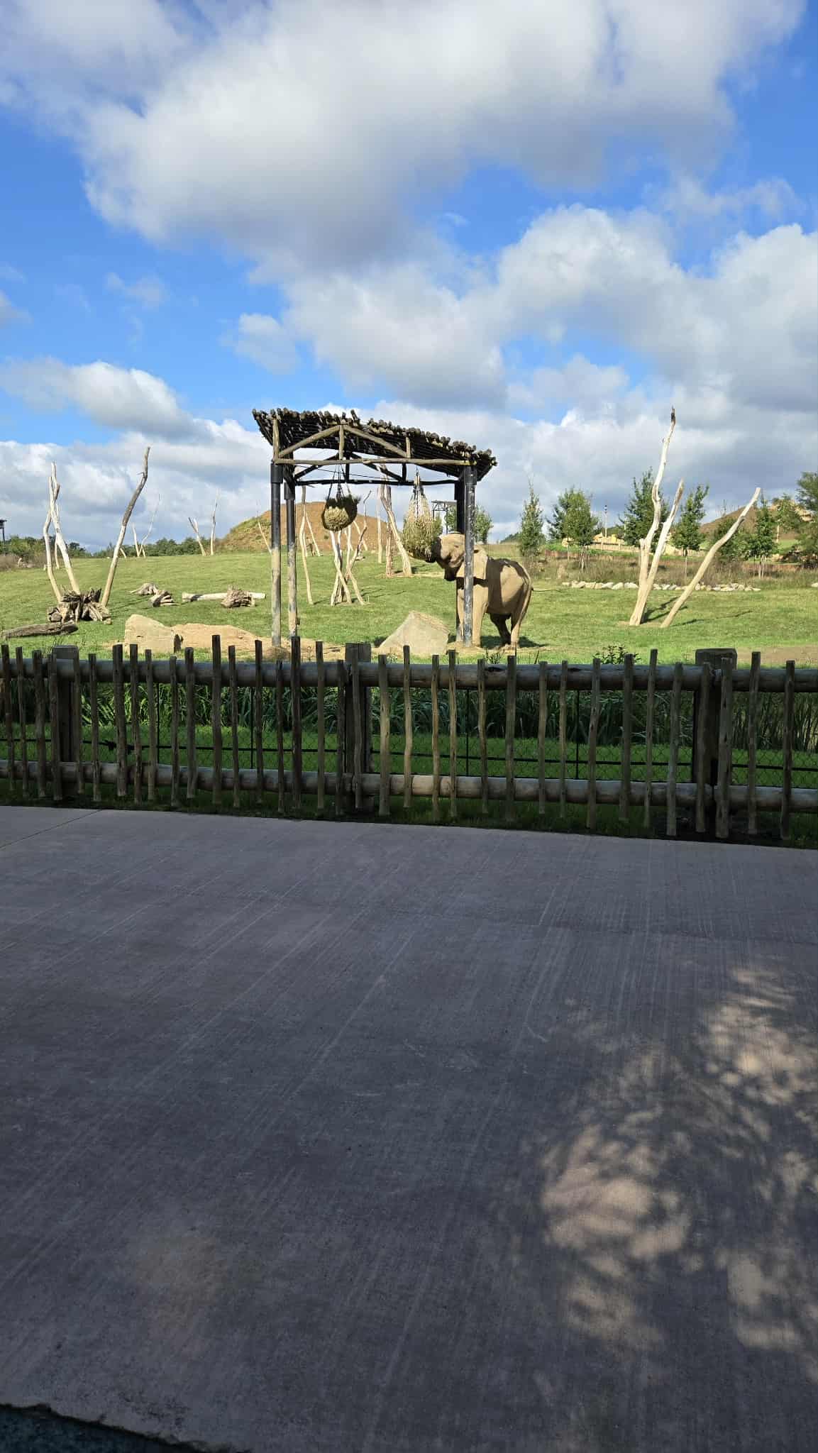 b5e116f3-eba7-48fb-939d-a6b7979a6fae