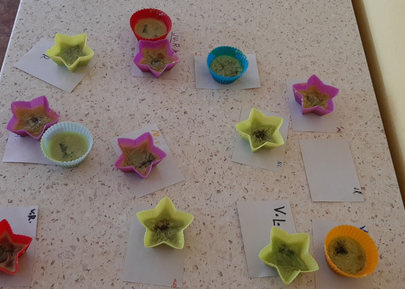 original_d957e9aa-443e-4a98-a0b5-d633b61e92e6_20230509_131938