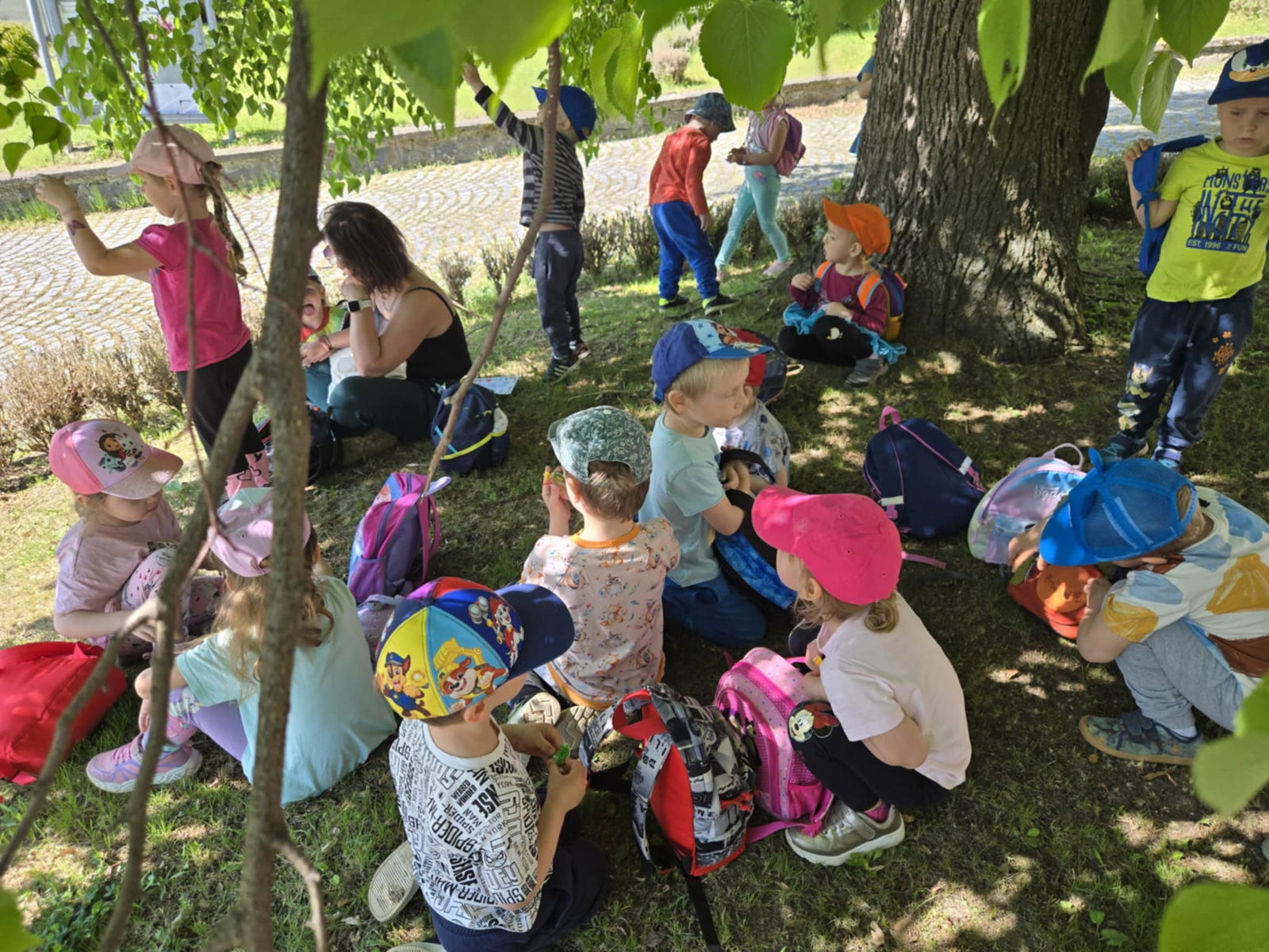 0f9542be-cb16-428f-a120-86f6f912556f