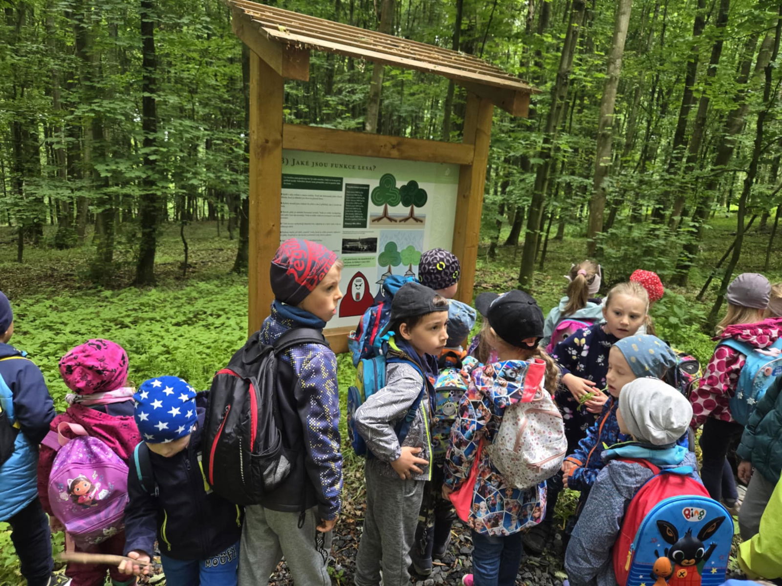 3d2c0233-5502-4531-b931-399deb423b20