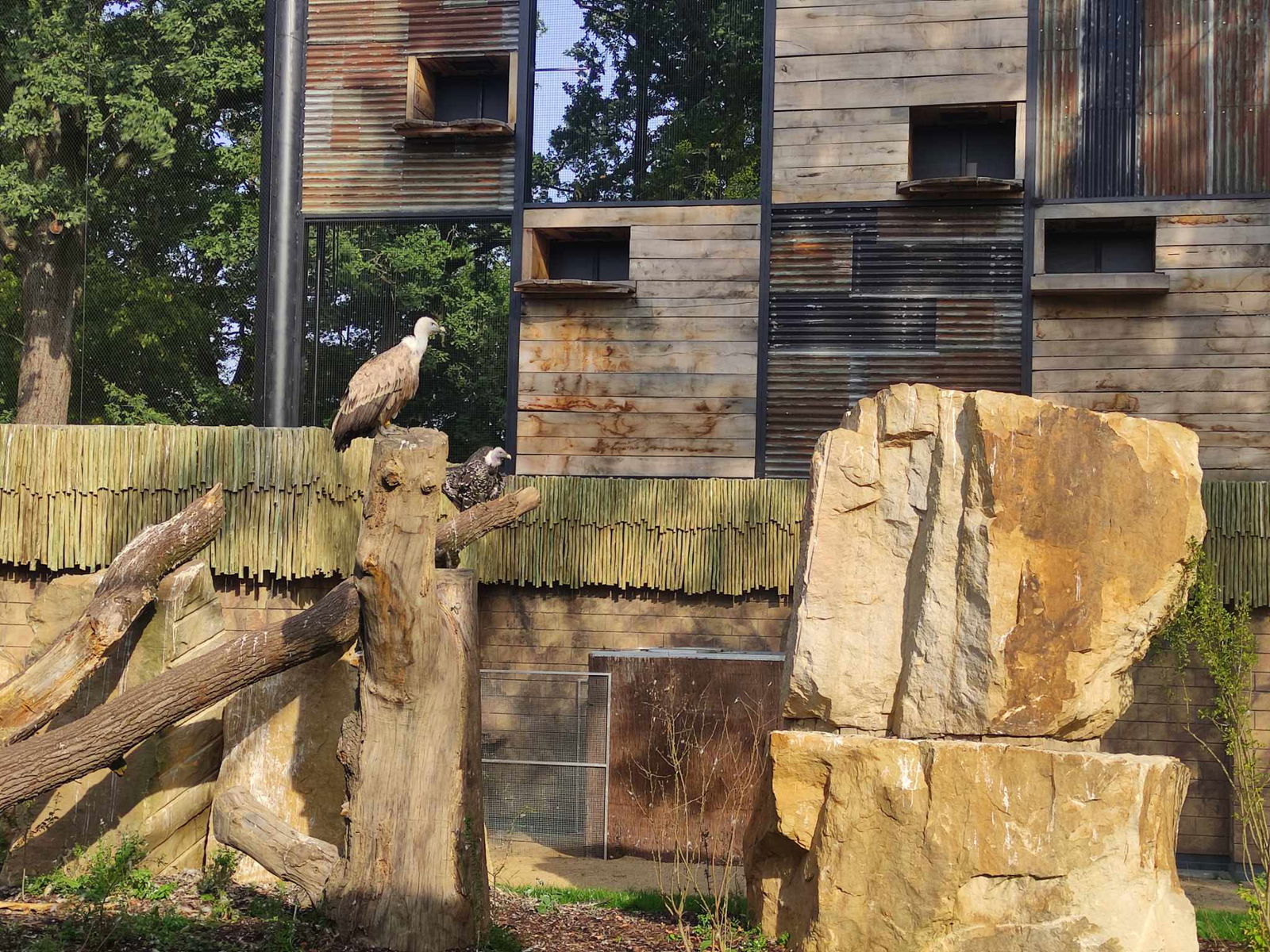 378241086_832430881711301_7351192680642586179_n