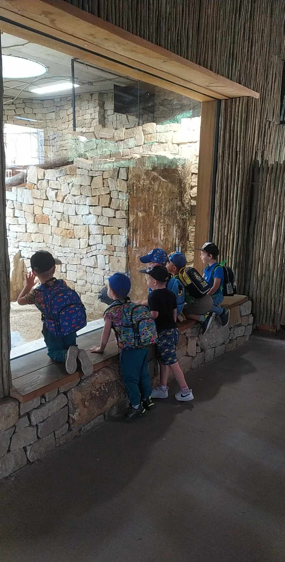 378256253_2356904797815867_7694477874874666643_n