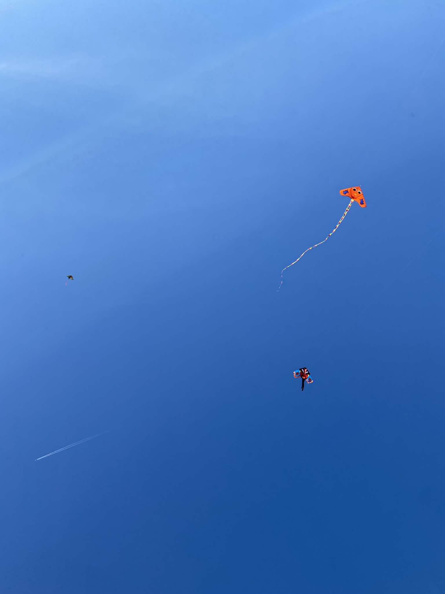 462543415_1358942165084147_6096560471537609218_n