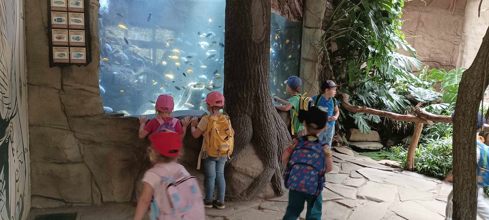 378100452_820543856528262_7828840518766060914_n