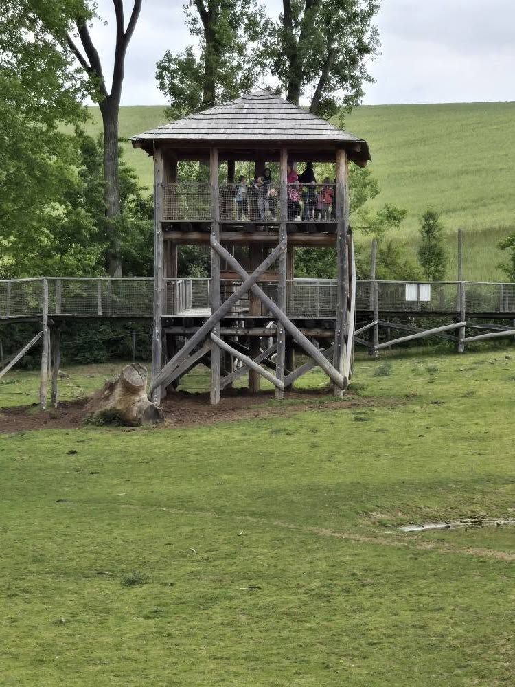 499707187_1386849659051893_381408605440452281_n