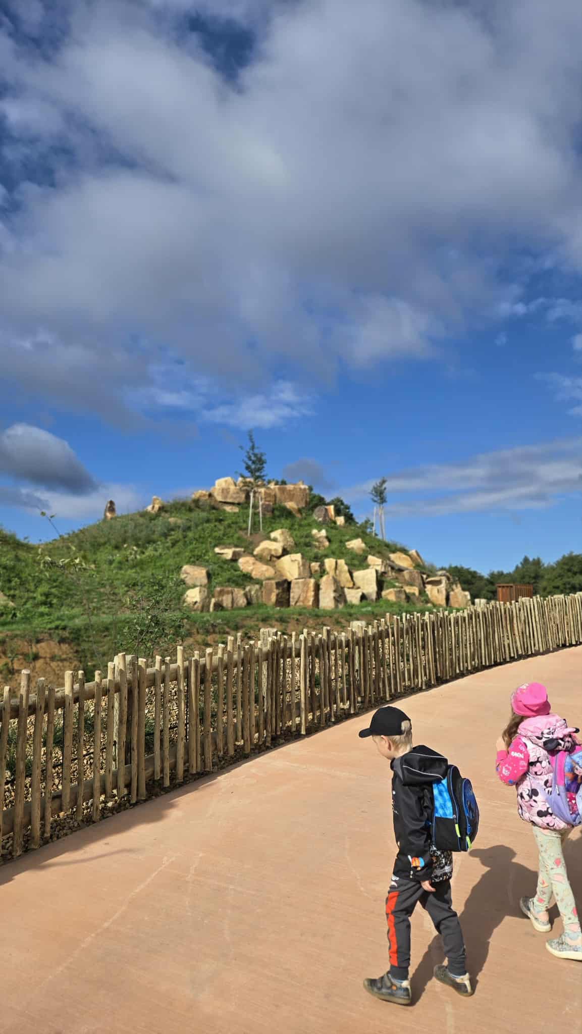 990dcb0e-7d78-4843-8f67-6696766352d6