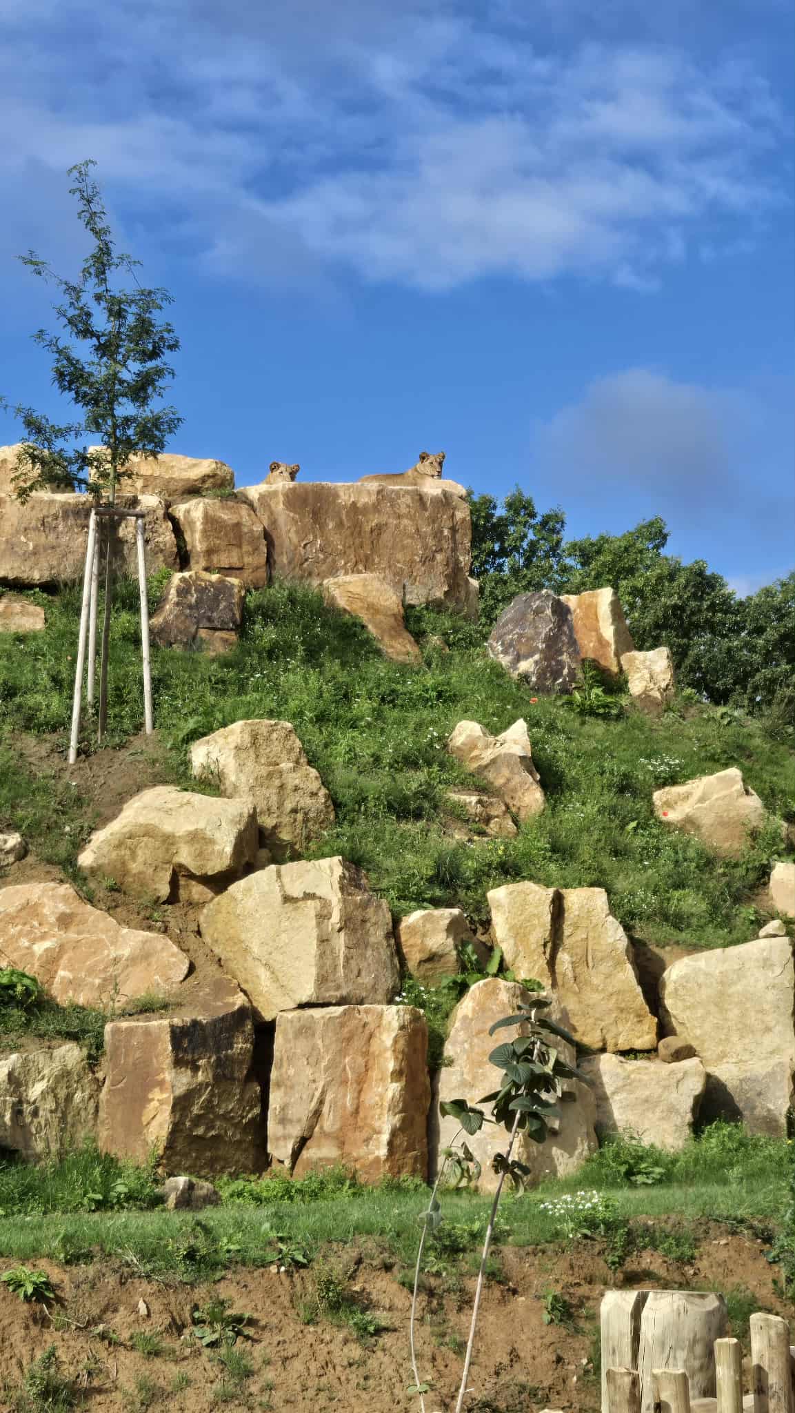 b96cc1d0-7f57-4770-aa63-7845be15be65