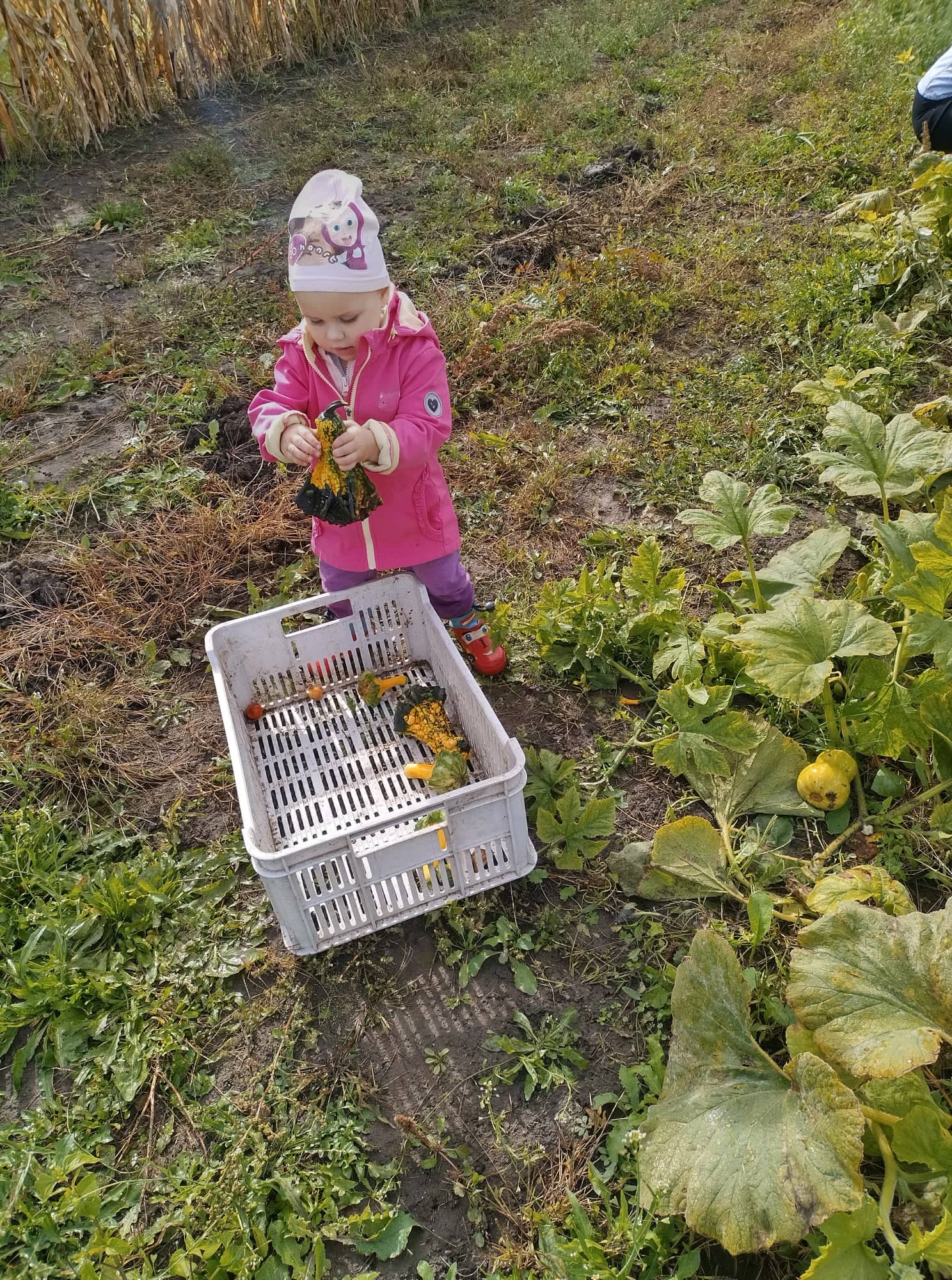 310428840_1431332270685192_1969360826430371774_n