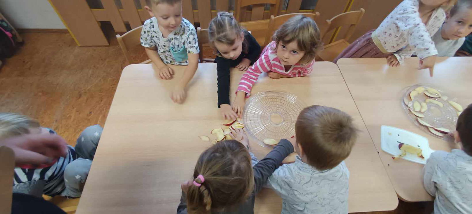 387350212_1549453949196026_2585361437175975713_n