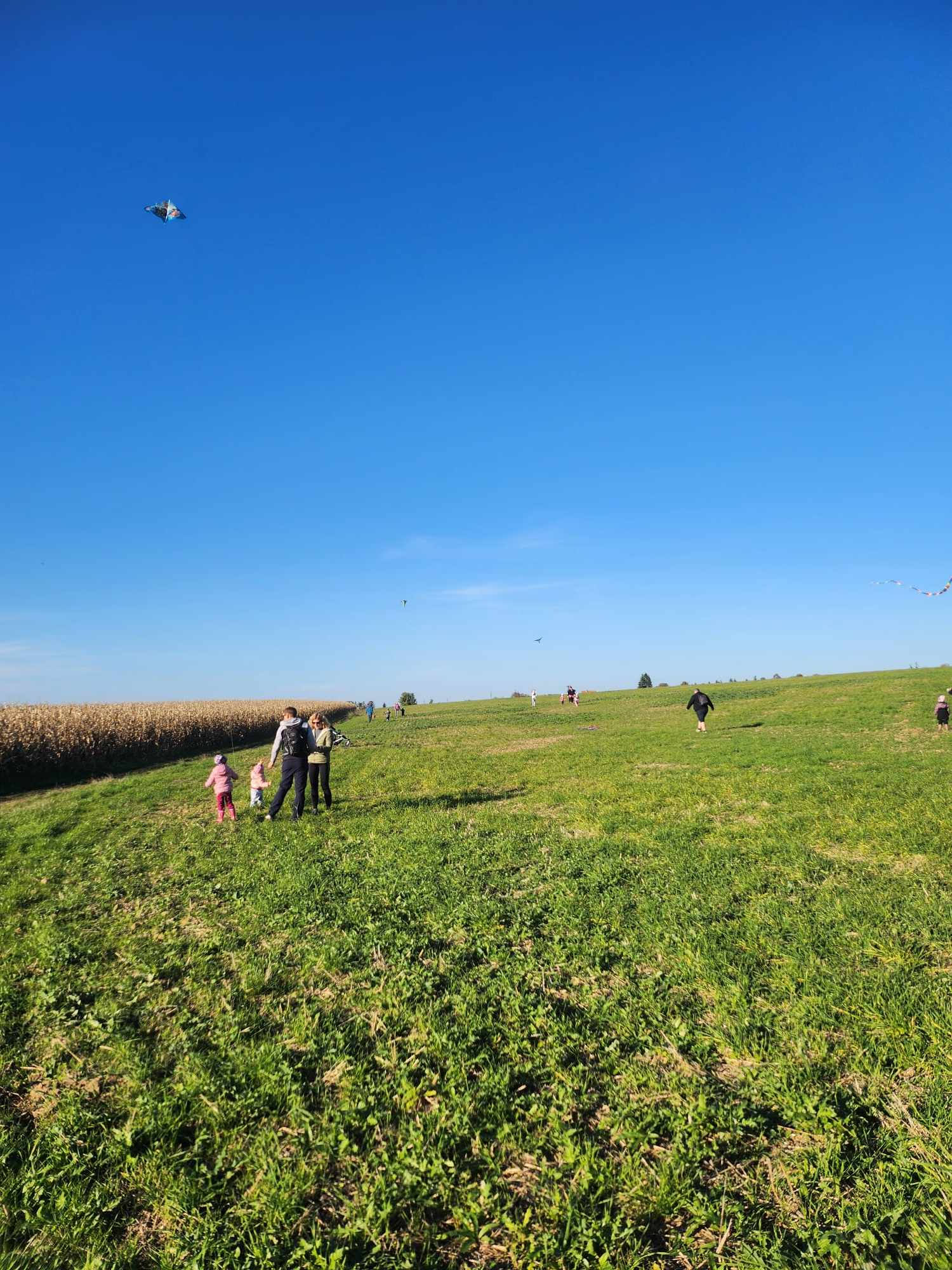 462535838_540620685598210_2152529808899619599_n