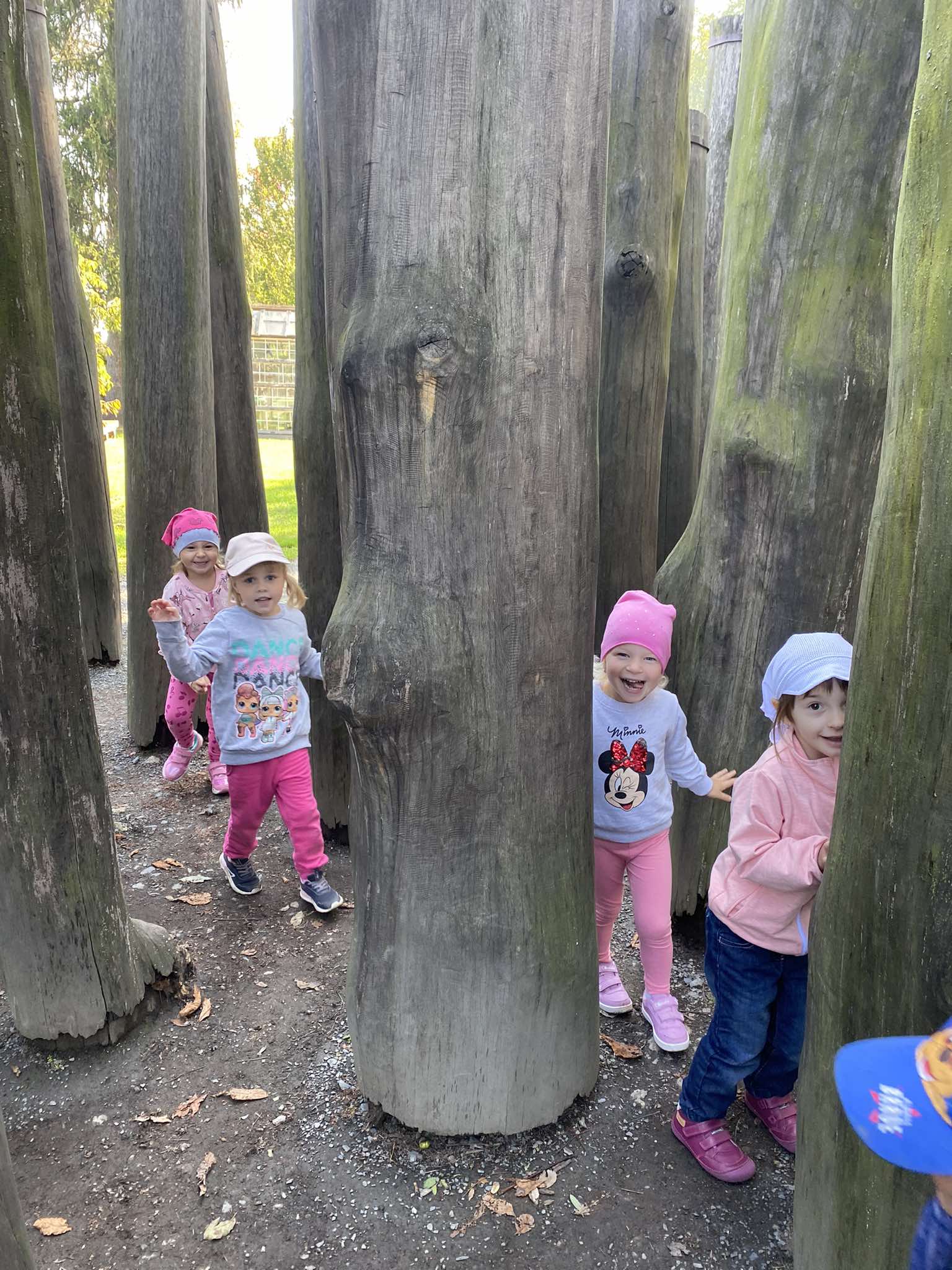 458093784_485240064389325_7135847300929658896_n