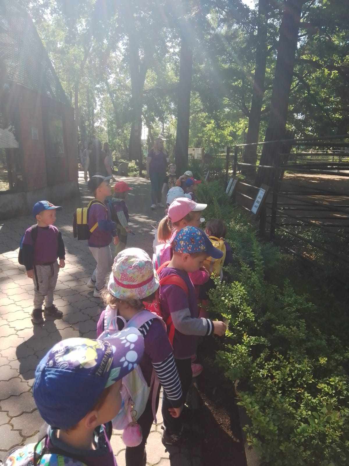 441951536_1660437521362766_1208063715468016508_n