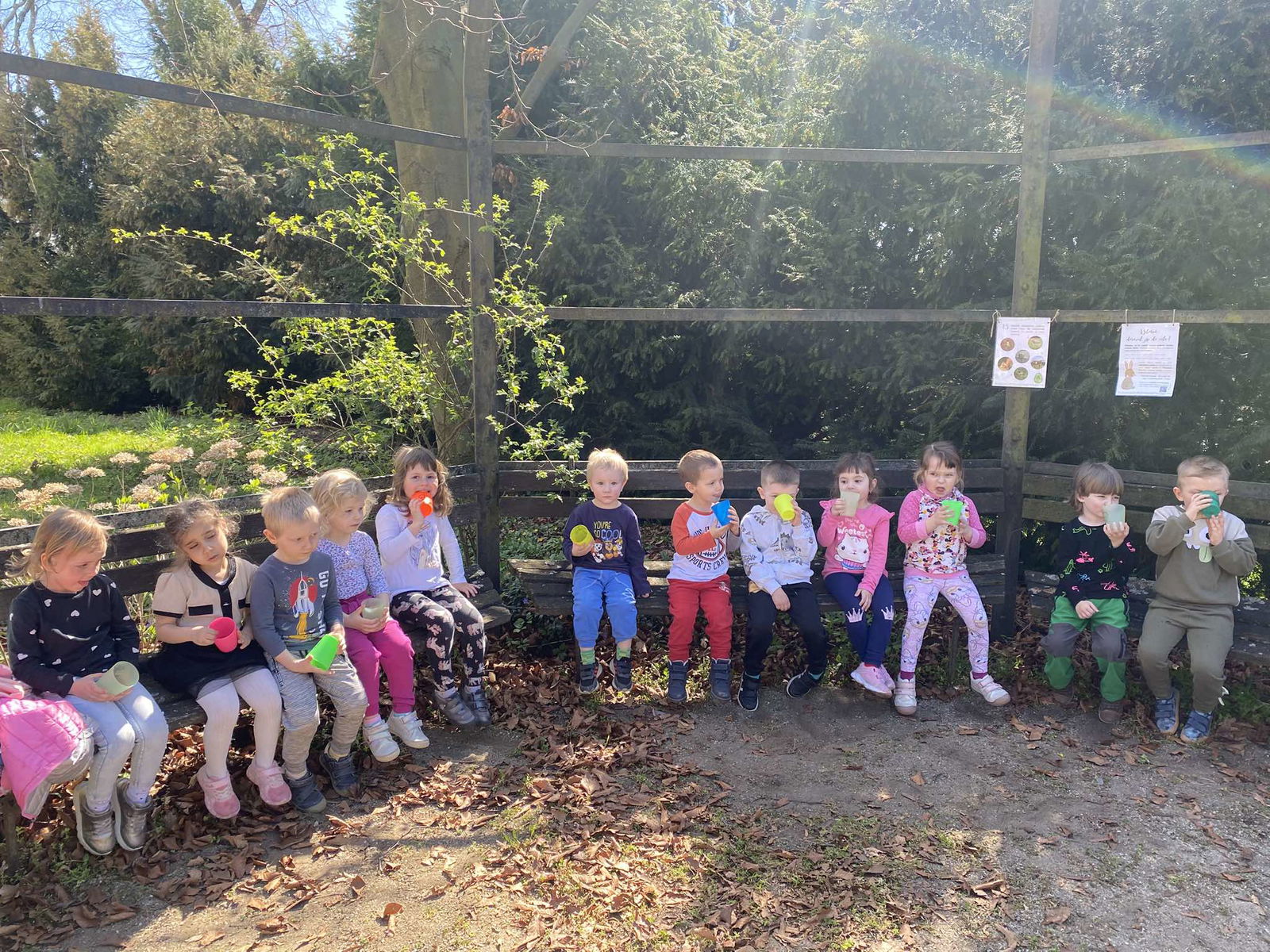 490535724_539103522597038_4532114202565535057_n